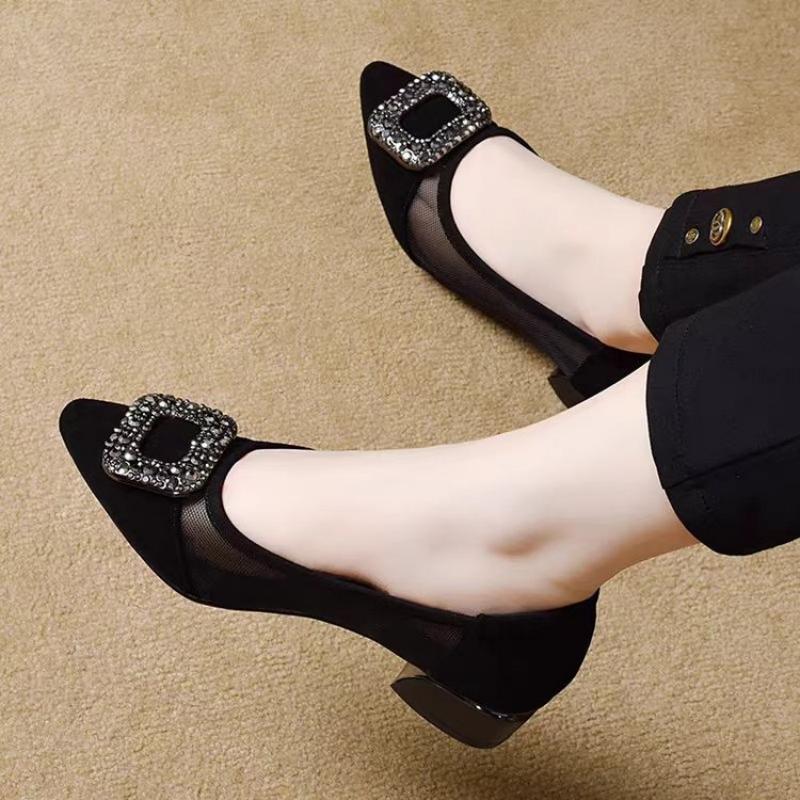 Elegant Pointed Toe Mesh Block - Women'S Work Fashion review and price